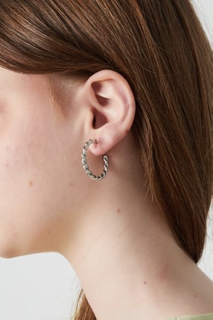 Luxe hoops Clip Earrings h5 Picture2