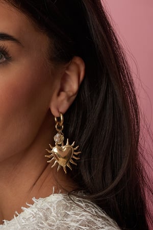 Stainless Steel Drop Earrings Heart Casual Daily Simple Series Women's jewelry h5 Picture3