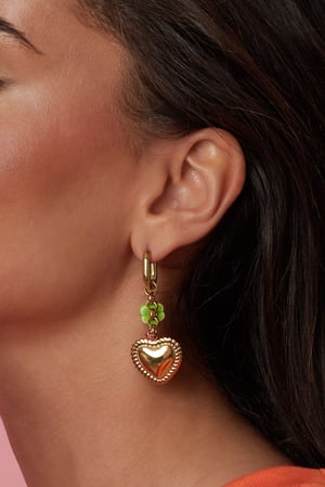 Stainless Steel Dangle Earrings Heart Sweet Daily Romantic Series Women's jewelry h5 Picture3