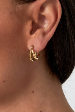 Small double hoop earrings h5 Picture2