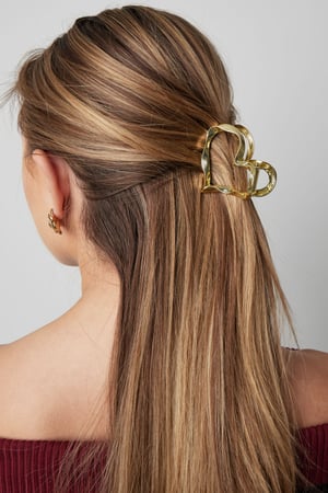 Hairclip sweetheart h5 Picture3