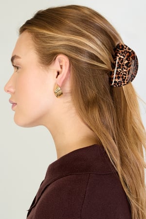 Hair Clips Leopard Print Daily Acrylic Daily Accessories h5 Picture2