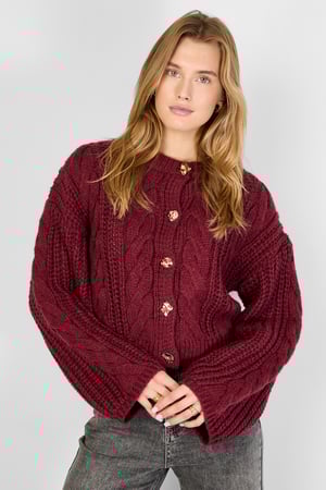 Gebreide Polyestervezel Vrouwen Cardigan Herfst/Winter Elegante Solide Kleur h5 Afbeelding4