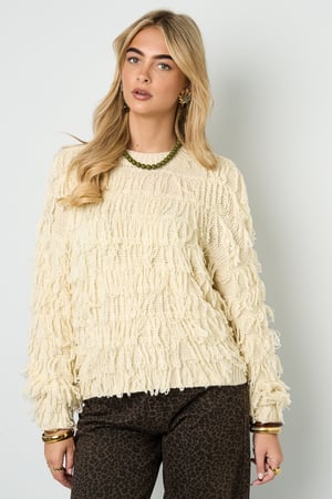 Knitted Acrylic Women's Cropped Sweater Fringe Detail h5 Picture5