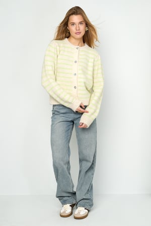 Çizgili Hırka h5 Resim13