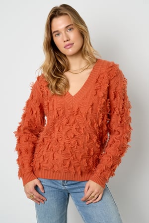Knitted Polyester Fiber Women's V-Neck Sweater Casual Solid Color h5 Picture8
