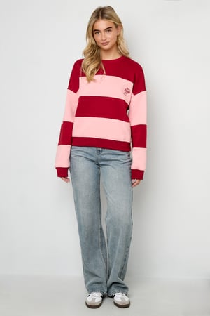 Maglia Cotone Donna Maglione a Manica Lunga Casual Righe h5 Immagine7