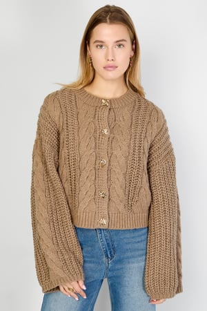 Gebreide Polyestervezel Vrouwen Cardigan Herfst/Winter Elegante Solide Kleur h5 Afbeelding9