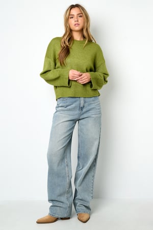 Knitted Polyester Fiber Women's Knit Sweaters Casual Solid Color Fall/Winter h5 Picture5