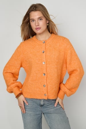 Gestrickte Polyesterfaser Damen-Cardigan Casual Einfarbig Herbst/Winter h5 Bild5