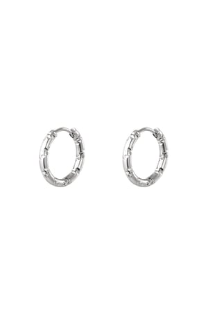 stainless steel hoop earrings h5 