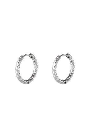 stainless steel hoop earrings  h5 