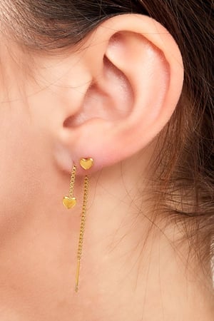 Cuore di acciaio inossidabile Gold Stainless Steel h5 Immagine2