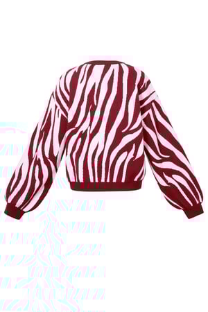 Maglioni lavorati a maglia, strisce zebrate, abbigliamento casual autunno/inverno h5 Immagine3