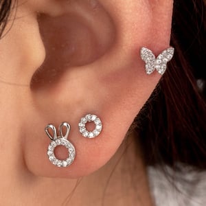 1 Piece Simple Series Simple Animal Titanium Steel No Plating Material Zircon Women Stud Earrings h5 Picture2
