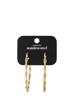 Twisted hoop earrings L h5 Picture4