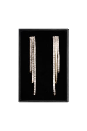 Elite shine earrings - Silver Color color h5