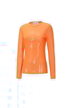 Mesh Longsleeve Top h5 Picture2