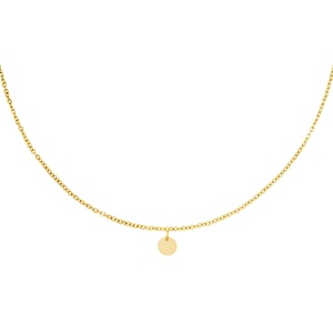 Necklace with little circle pendant h5