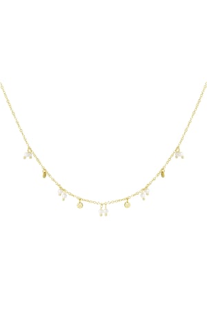 necklace pearls and charms h5 