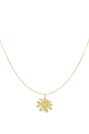 happy daisy necklace h5 