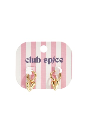 Earrings with heart-shaped pendant and zircon h5 Picture4