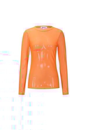 Mesh Longsleeve Top h5 