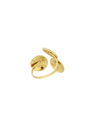 ring party circles h5 Picture4