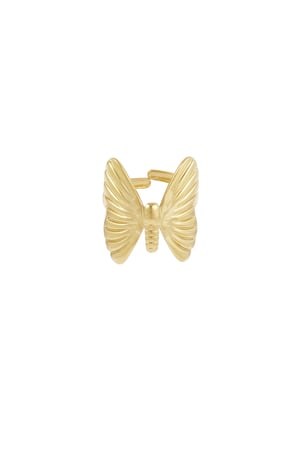 ring fly high h5