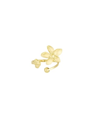 Ring mit floralem Flair – Farbe Gold h5 