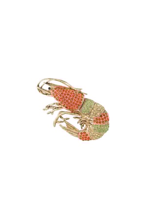 Shrimp Brooch - Multi h5 