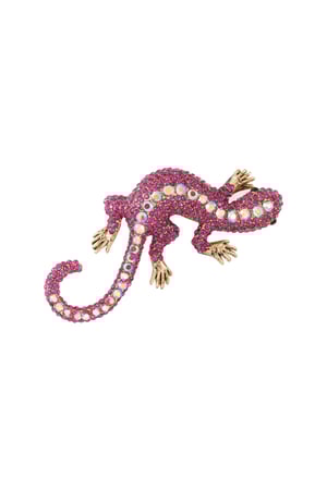 Salamander Brooch h5 