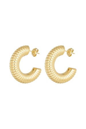 Earrings stripes - Silver Color color h5 