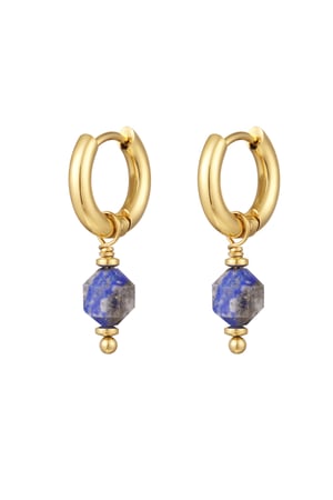 Boucles d'Couleur oreilles avec pierre January - Couleur or/marron h5