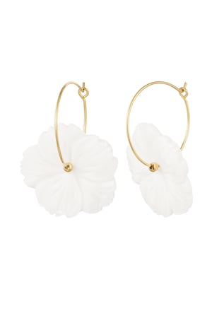 Earrings seashell flower - Gold Color Stainless Steel h5