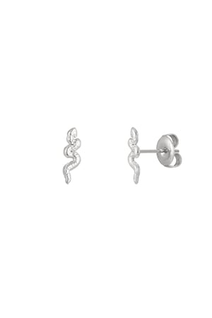 Tappo per le orecchie serpente - argento Acciaio inossidabile h5