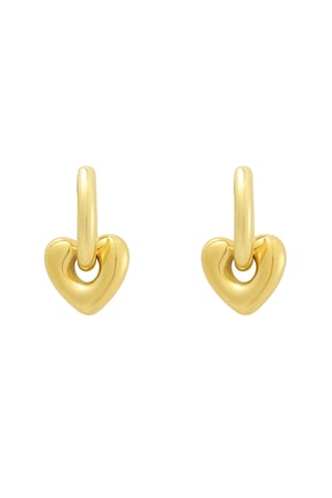 earrings with heart h5 