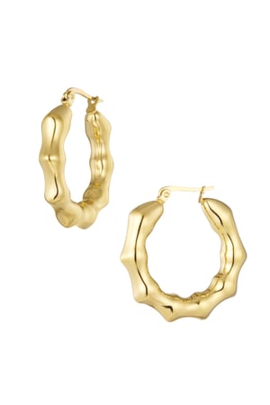 Earrings round twists - Silver Color color h5 