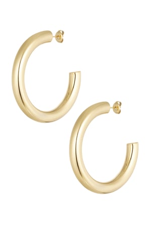 Earrings basic round - Silver Color color h5