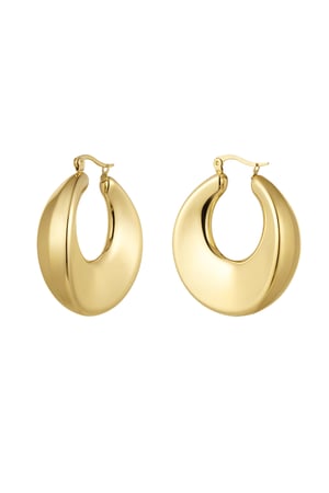 earrings shiny round h5 