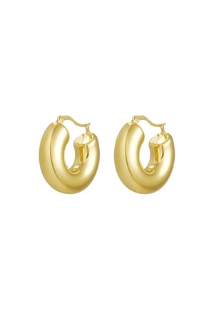 earrings round thick h5