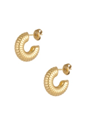earrings half moon relief h5 