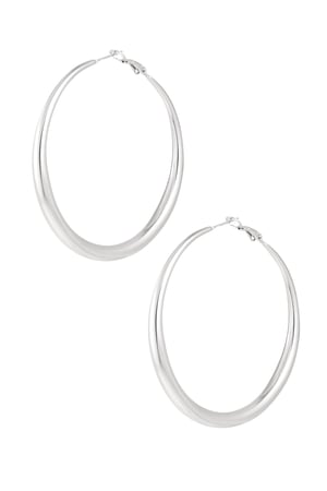 Basic earrings with variety - Silver Color color h5