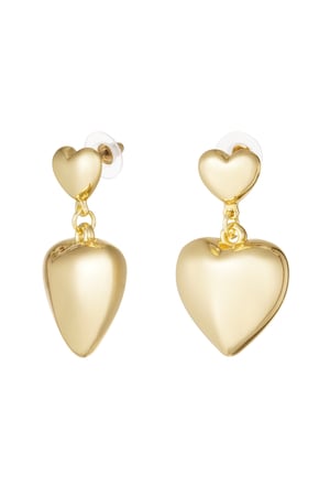 double heart earrings h5