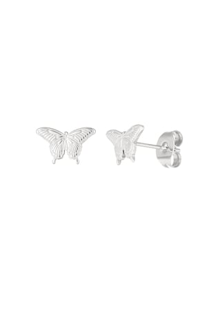 butterfly stud earrings h5 