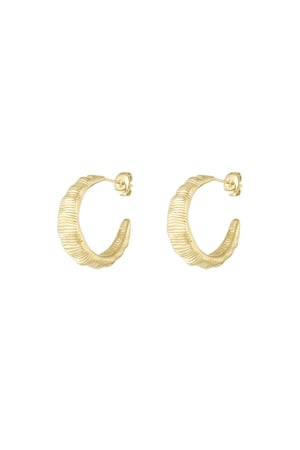 Textured Hoops earrings - Silver Color color h5