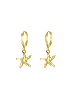 orecchini semplici stelle marine h5 