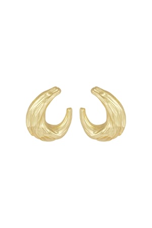 textured elegance earrings h5 