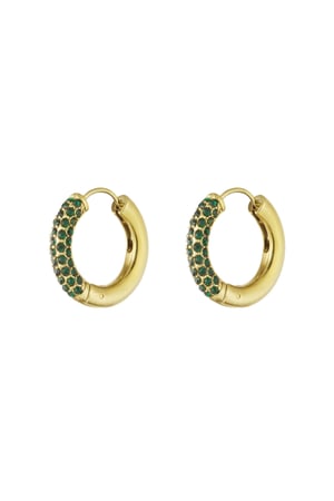 Shiny Rings earrings h5