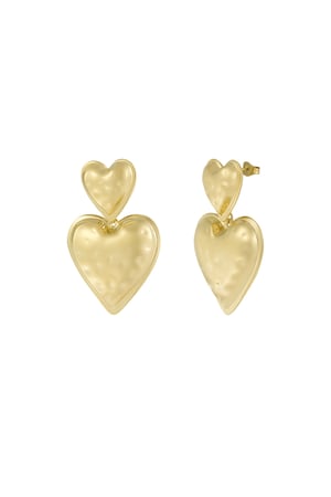 Heart Duo earrings - Silver Color color h5 